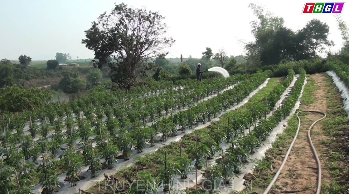 Làng Kruối – Chai học và làm theo Bác