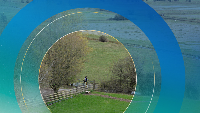 Hàng triệu ngôi nhà tại Anh trước nguy cơ bị sụt lún vào năm 2070