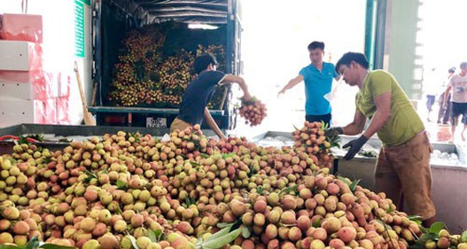 Bộ Công Thương hỗ trợ Bắc Giang đẩy mạnh tiêu thụ nông sản