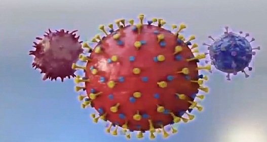 Dịch COVID-19 có thể phát triển thành bệnh theo mùa