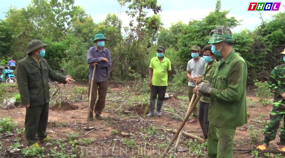 Trồng 10.000 cây thông ba lá và keo tai tượng tại xã Đak Jơ Ta, huyện Mang Yang