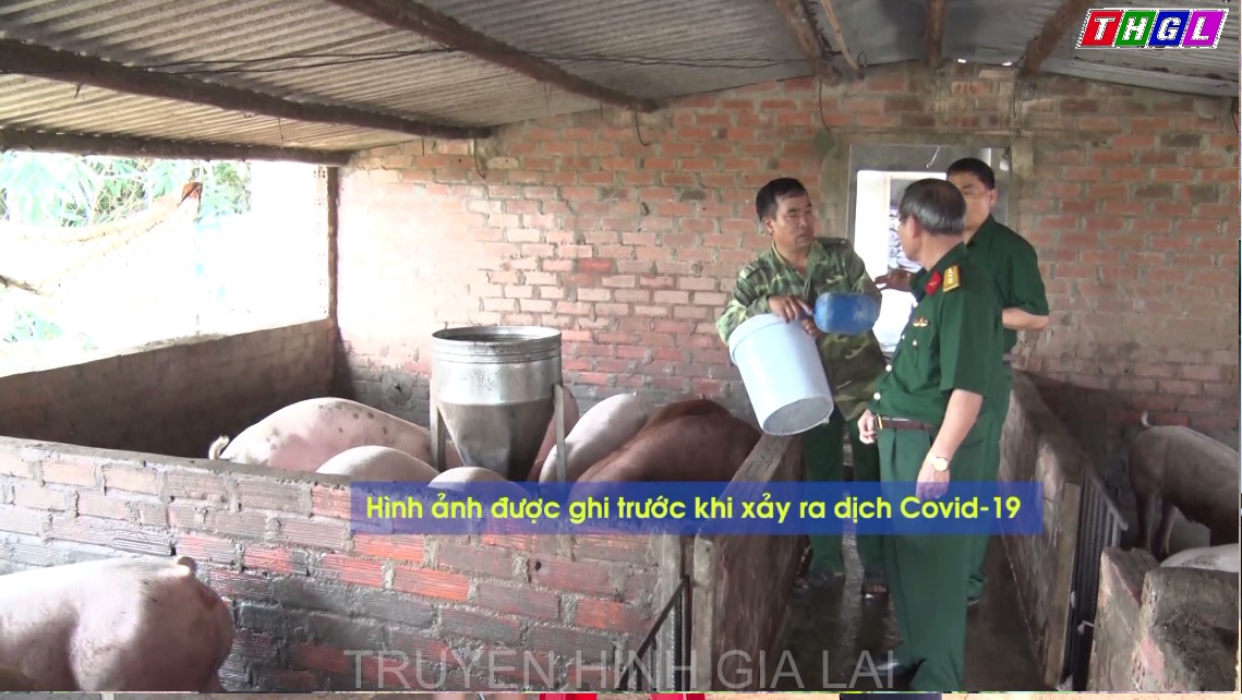 Cựu chiến binh thị xã An Khê học theo Bác làm kinh tế giỏi