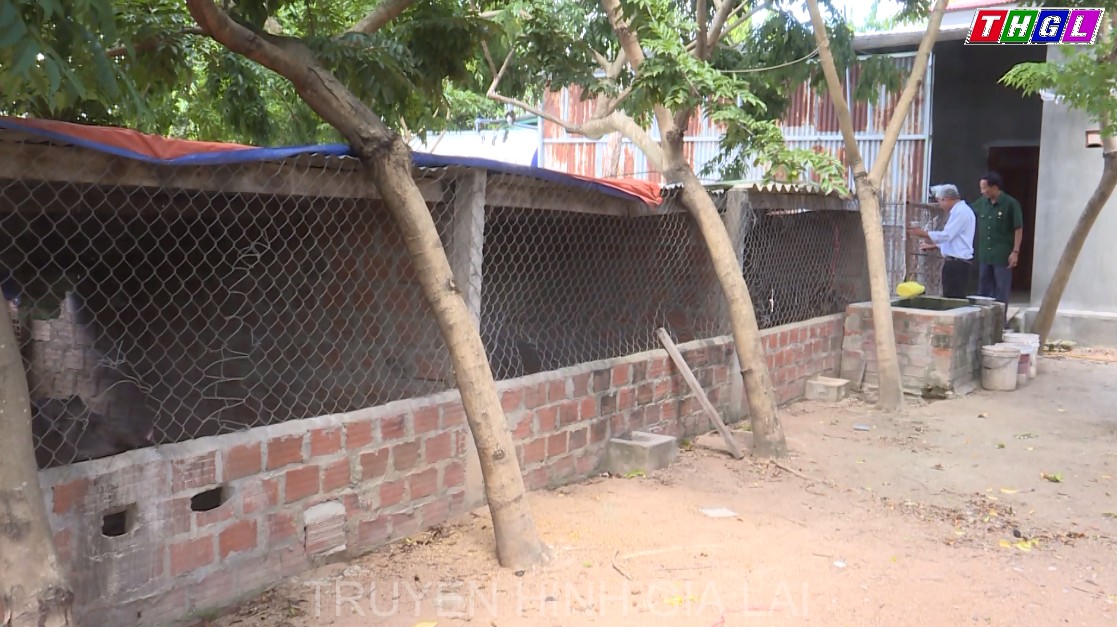 Cựu chiến binh Hoàng Duy Hoàn – Gương điển hình trong phong trào “Cựu chiến binh giúp nhau giảm nghèo, làm kinh tế giỏi”