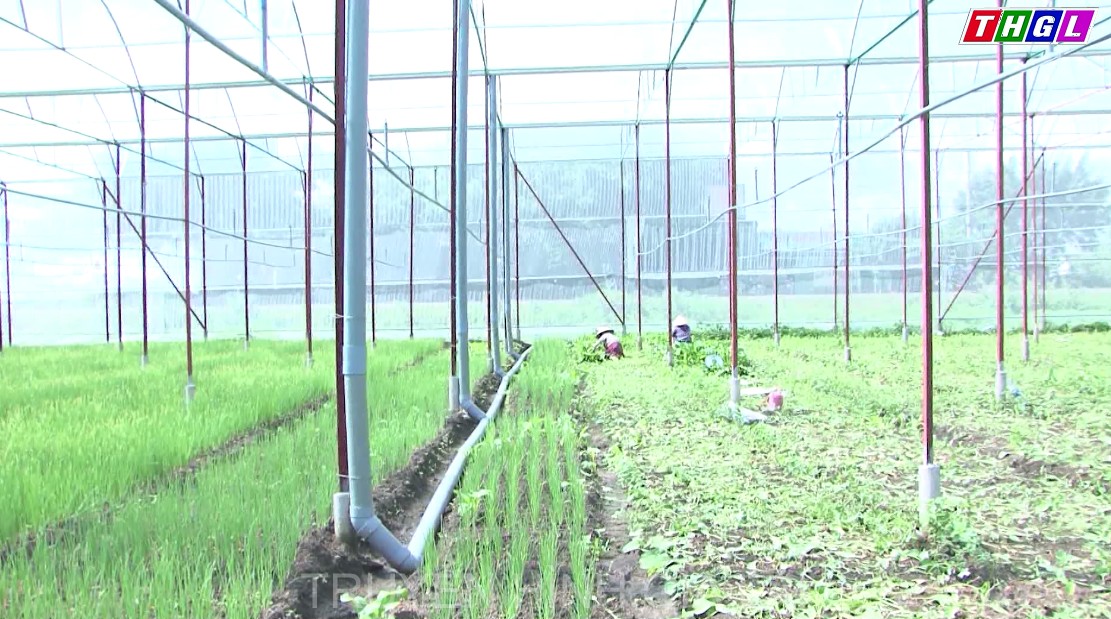 Thành phố Pleiku ưu tiên phát triển nông nghiệp công nghệ cao