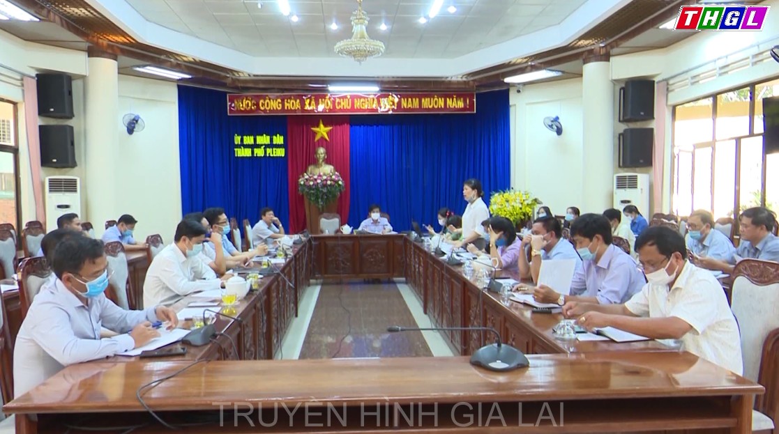 TP.Pleiku họp triển khai các biện pháp cấp bách ứng phó với bệnh Viêm da nổi cục trên trâu, bò
