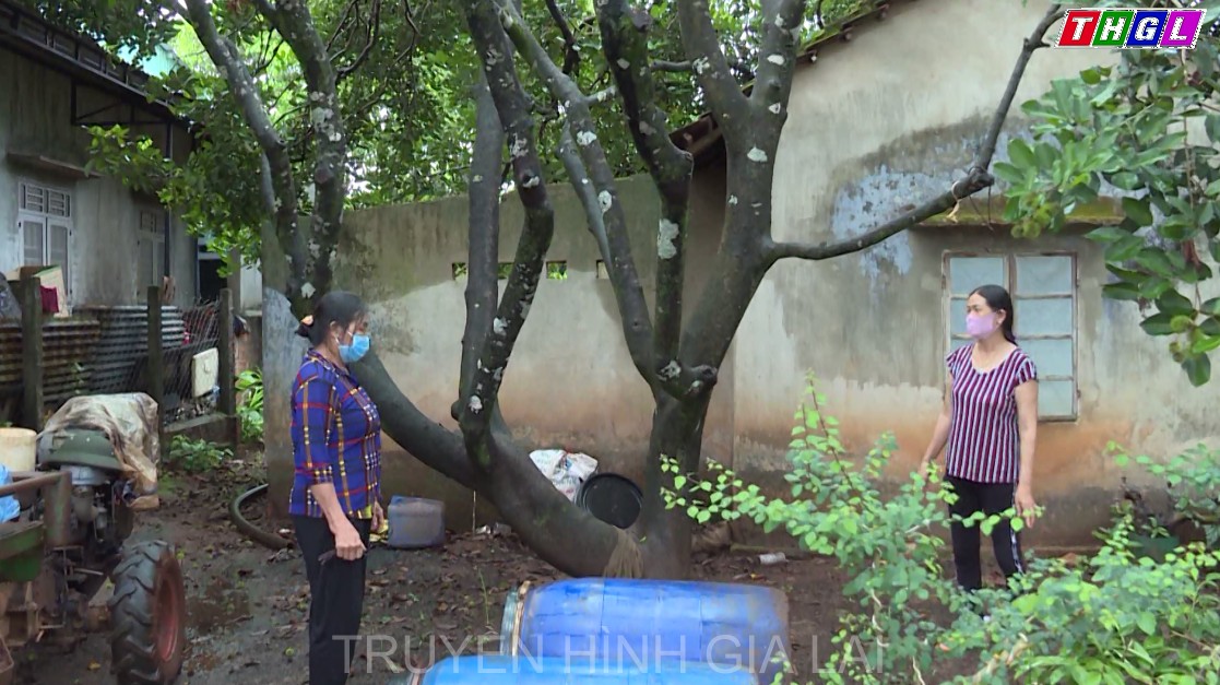 Tập trung các biện pháp phòng chống, không để dịch chồng dịch