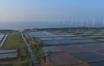 Anh Quốc đánh giá cao tiềm năng hợp tác điện gió tại Việt Nam