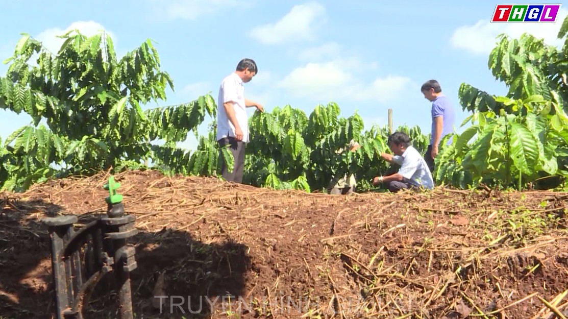 Giai đoạn 2016-2025: Gia Lai triển khai 11 dự án Chương trình Nông thôn miền núi