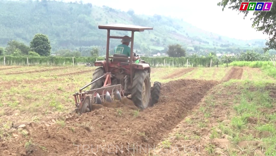Huyện Kbang gieo trồng vụ Mùa đạt gần 48% kế hoạch