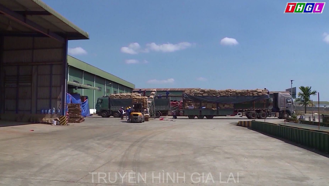 Tổng kim ngạch xuất khẩu của tỉnh đạt tín hiệu hết sức khả quan