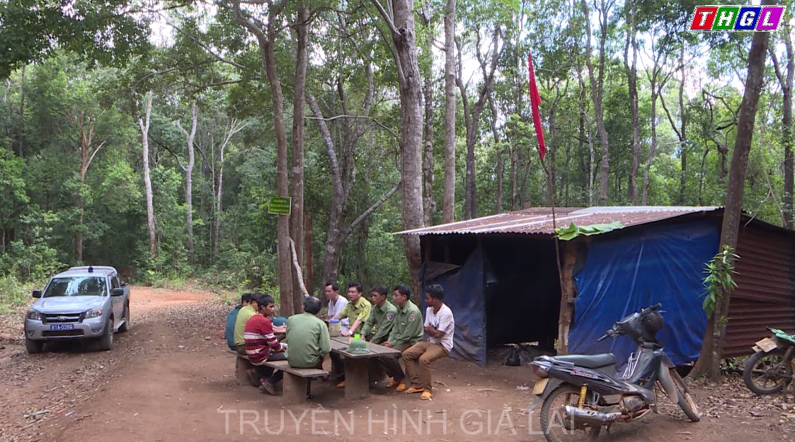 Mang Yang tăng cường quản lý, bảo vệ rừng