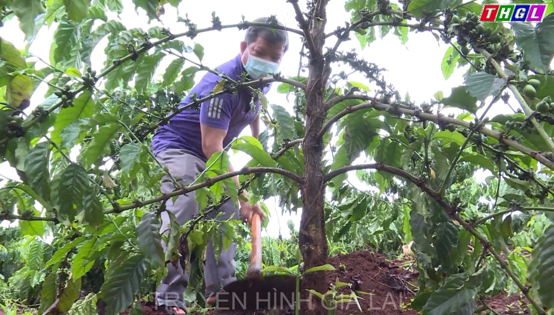 Ông Rơ Mah Yê – Gương sáng trong phong trào nông dân sản xuất kinh doanh giỏi