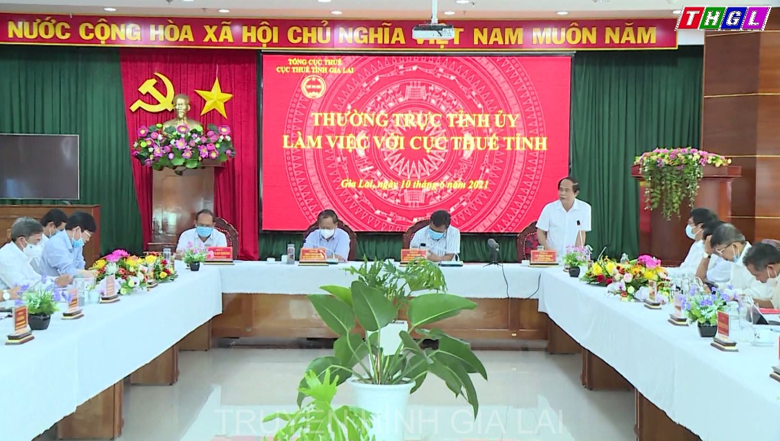 Ngành thuế phải đảm bảo các giải pháp thu đúng, thu đủ, kịp thời và phù hợp với tình hình thực tế trong từng giai đoạn, điều kiện