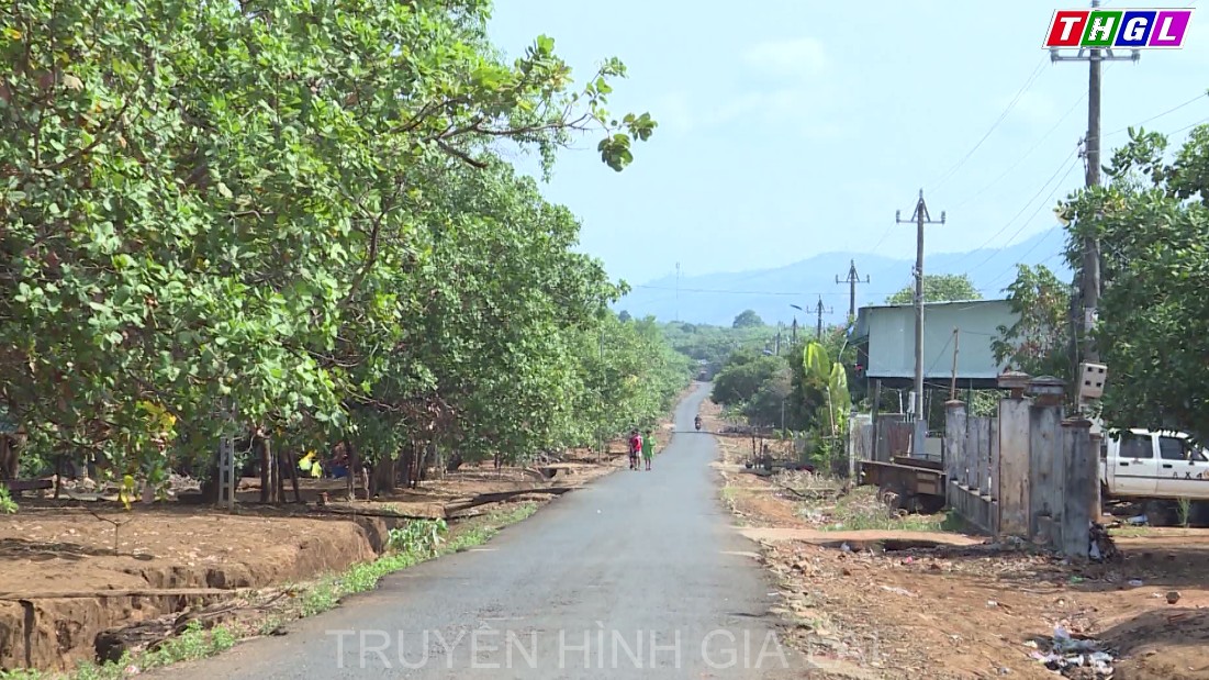 Toàn huyện Ia Grai có 19 thôn, làng đạt chuẩn nông thôn mới (NTM)