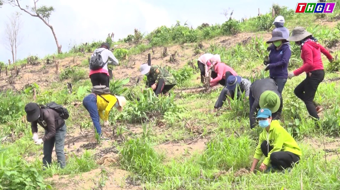 Đức Cơ: Tổ chức truyền thông và ra quân trồng rừng năm 2021