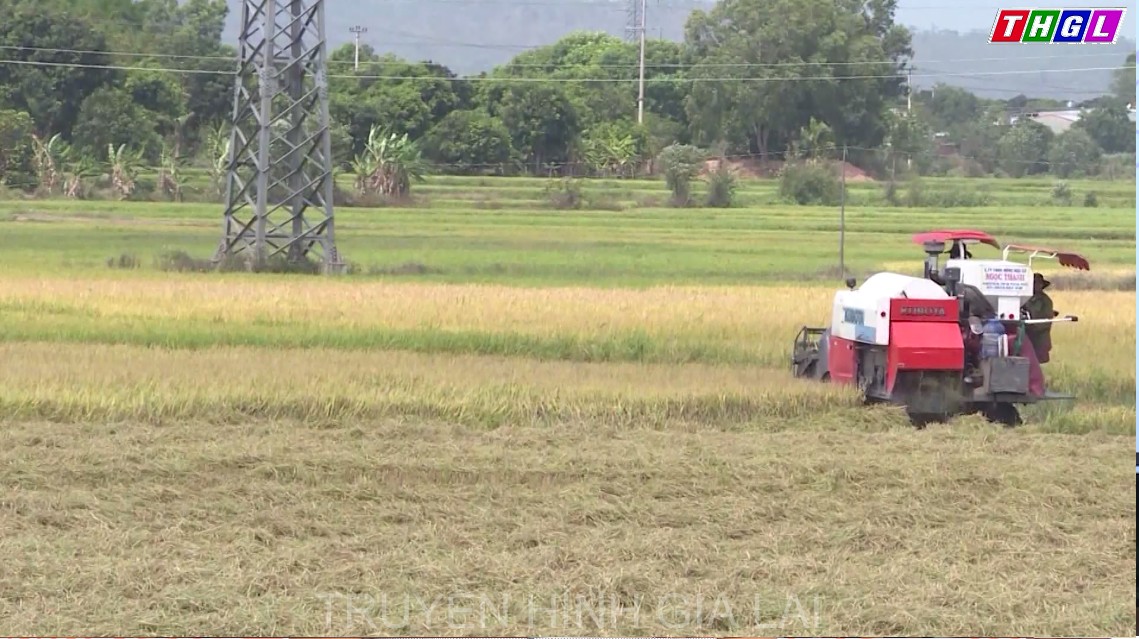 Thị xã Ayun Pa – 5 năm thực hiện Chỉ thị 05 của Bộ Chính trị (khóa XII)