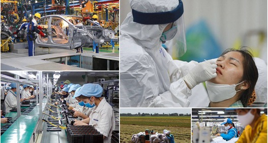 Bức tranh kinh tế Việt Nam 7 tháng đầu năm 2021