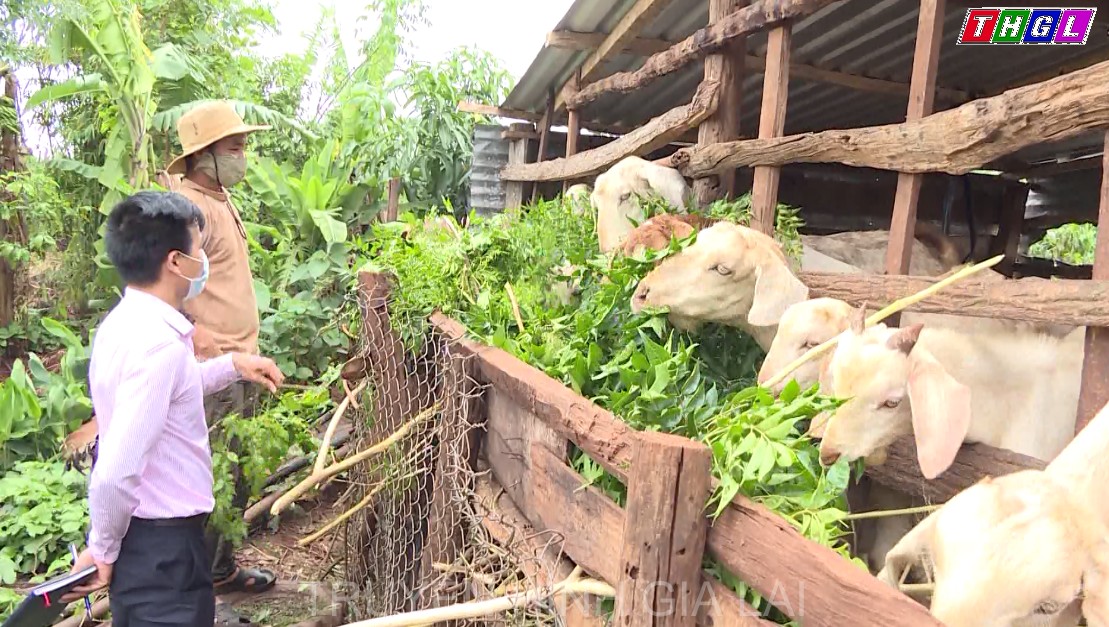 Ban đại diện Hội đồng quản trị Ngân hàng Chính sách Xã hội Chi nhánh tỉnh Gia Lai  Tổ chức phiên họp Quý II năm 2021