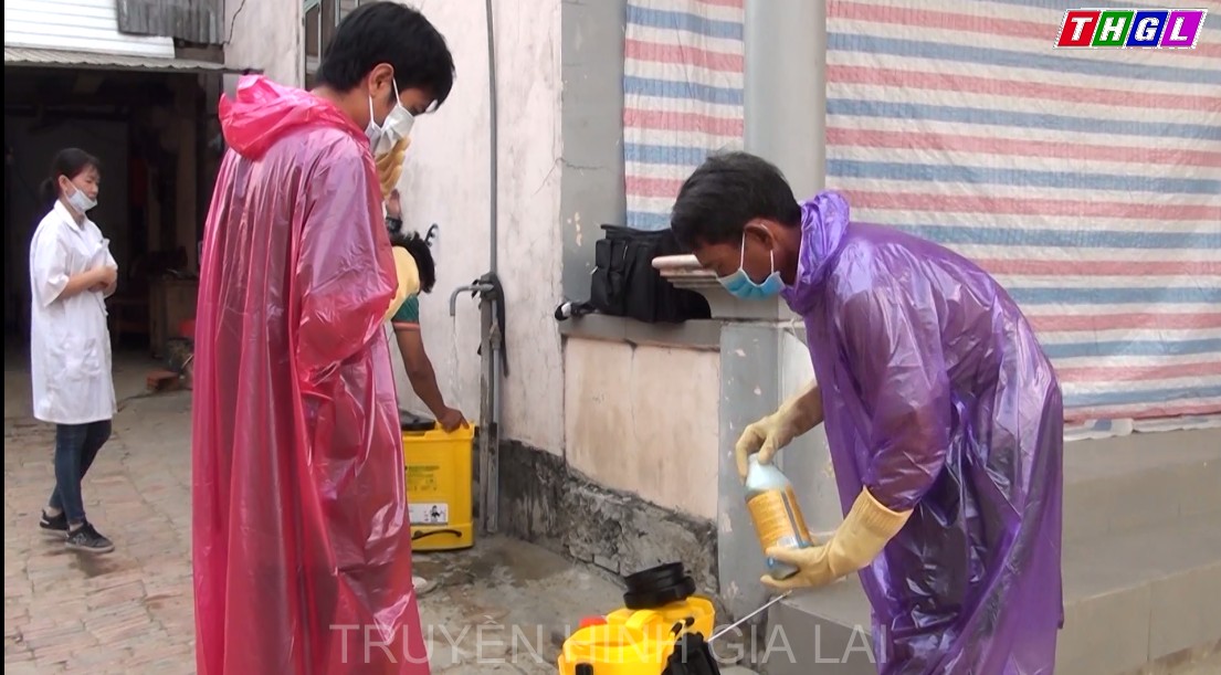 Thị xã Ayun Pa khoanh vùng dập dịch viêm da nổi cục trên trâu bò