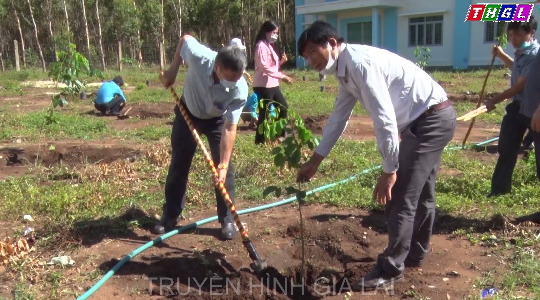 LĐLĐ huyện Mang Yang phát động trồng cây hưởng ứng Chương trình trồng 1 tỷ cây xanh