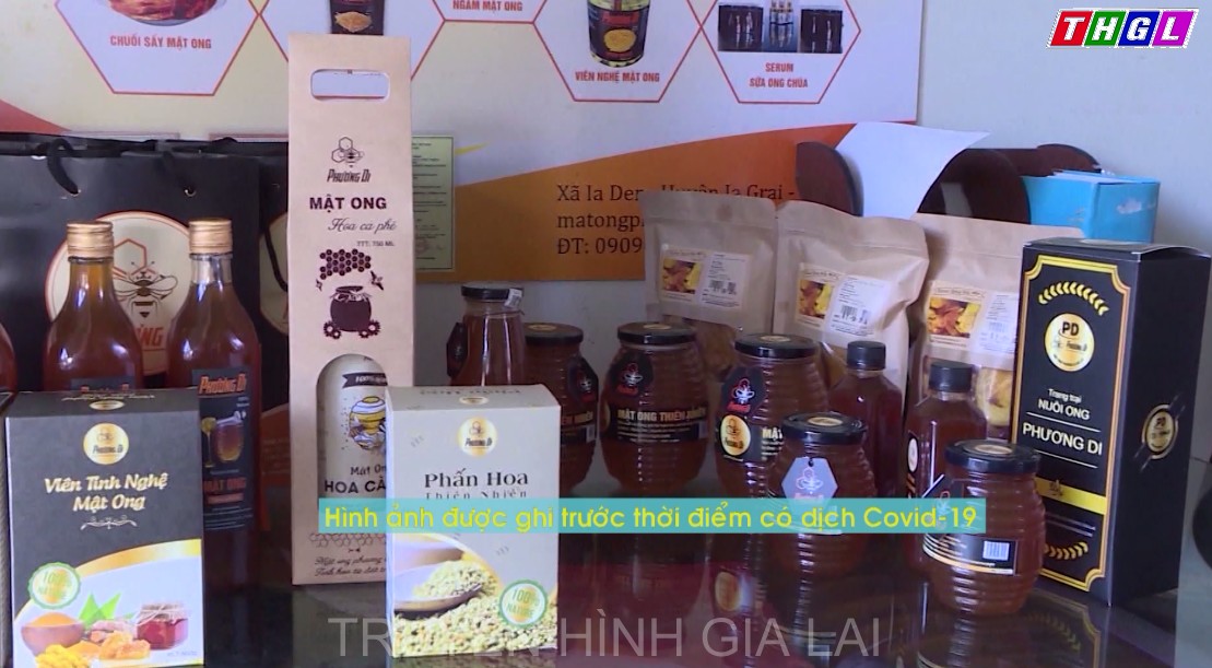 Gia Lai đẩy mạnh thực hiện bảo hộ, quản lý và phát triển chỉ dẫn địa lý cho các sản phẩm chủ lực