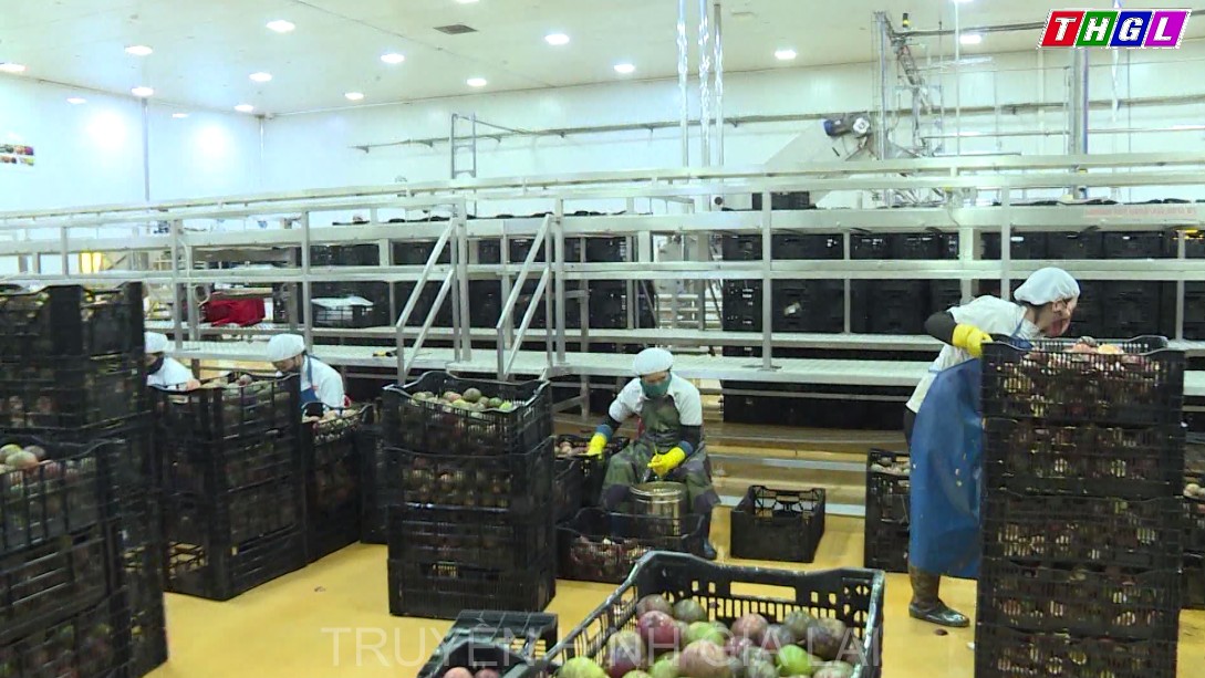 Đẩy mạnh ứng dụng khoa học công nghệ vào nông nghiệp nhằm đáp ứng các tiêu chuẩn khắt khe về chất lượng sản phẩm cho xuất khẩu