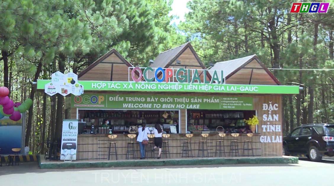 Giúp doanh nghiệp mới đứng vững trước tác động của đại dịch Covid- 19