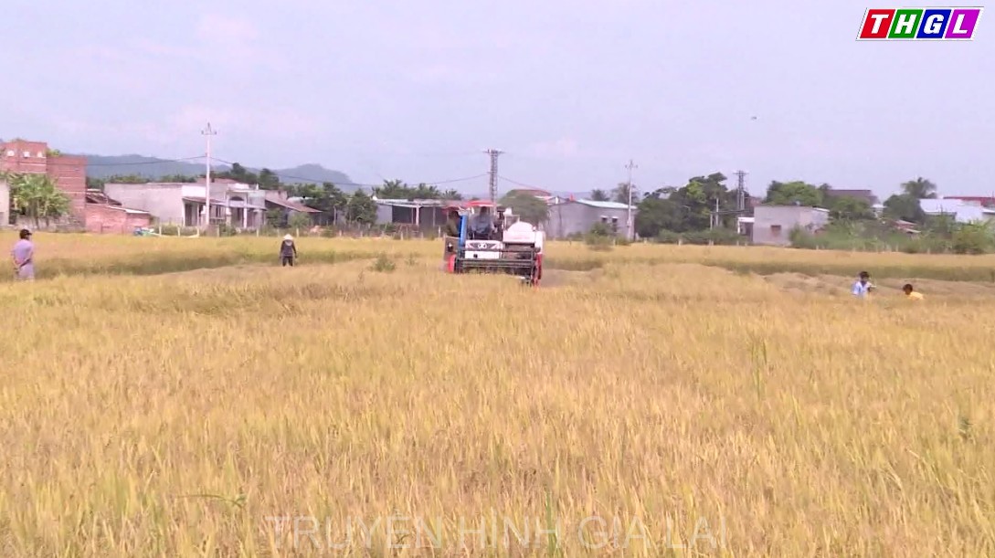 Giai đoạn 2021 – 2025, Gia Lai phấn đấu tốc độ tăng trưởng kinh tế bình quân hàng năm đạt 8,6% trở lên