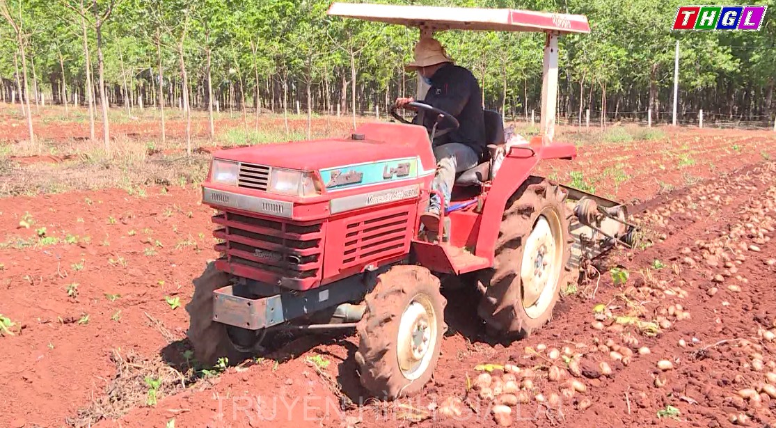 Gia Lai đẩy mạnh phát triển sản xuất nông nghiệp theo hướng hiện đại