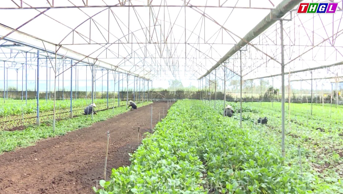 Hội Nông dân Gia Lai: Những kết quả nổi bật trong nửa nhiệm kỳ  lãnh đạo thực hiện công tác Hội