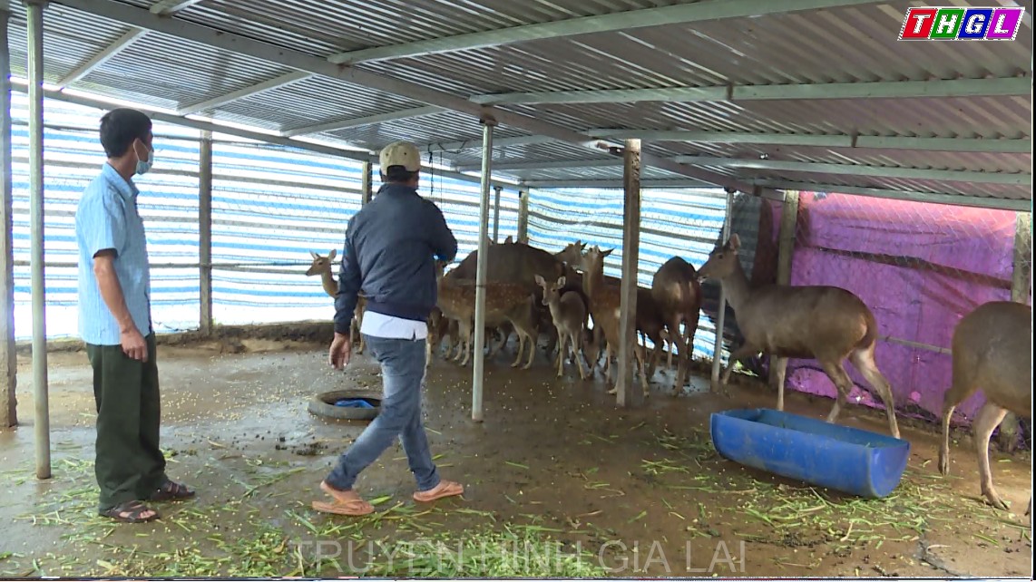 Sở Khoa học và Công nghệ hỗ trợ phát triển các sản phẩm OCOP