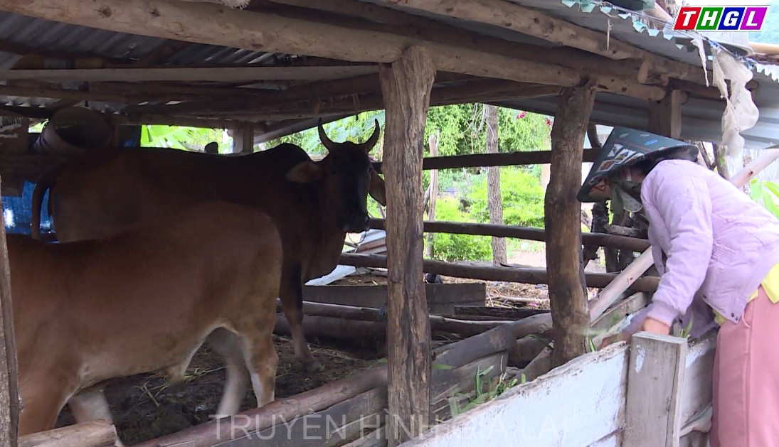 Huyện Đak Pơ tiếp tục đầu tư cho các làng đặc biệt khó khăn