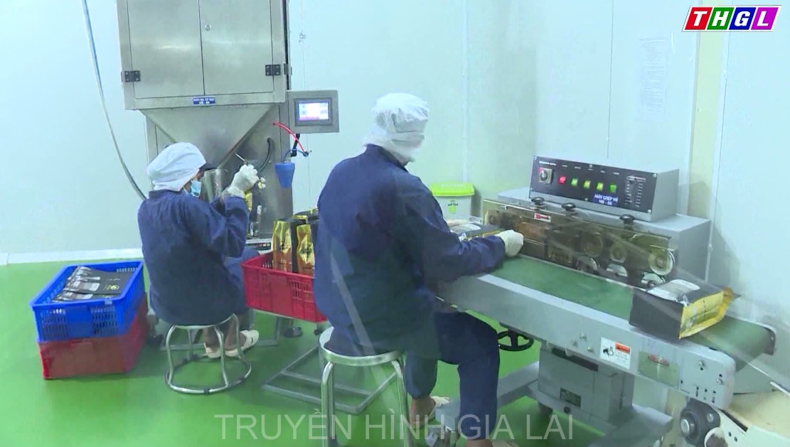 Kim ngạch xuất khẩu của tỉnh Gia Lai đạt 315 triệu USD