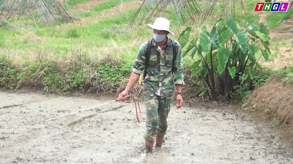 Nguyễn Minh Tính với đam mê làm giàu từ nghề nông