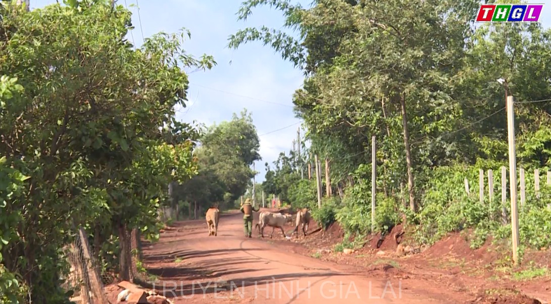 Nhịp sống mới trên những thôn làng DTTS xã Ia Tôr, huyện Chư Prông