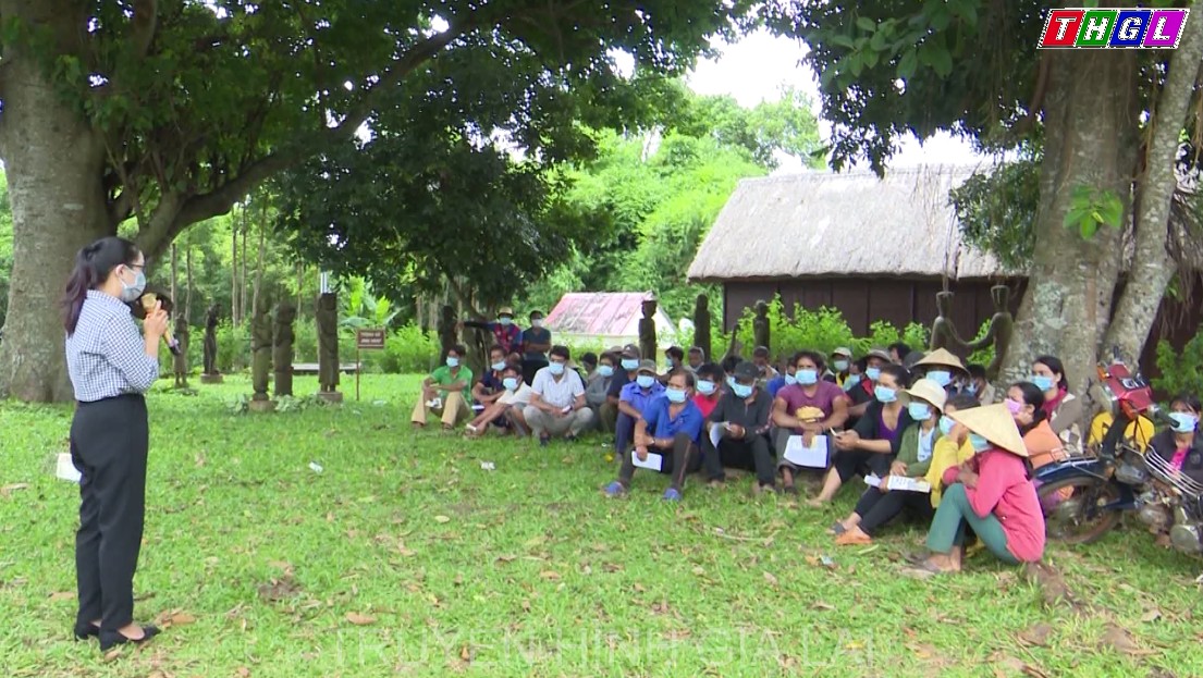 Thành phố Pleiku tập huấn phòng, chống dịch bệnh viêm nổi cục trên trâu, bò