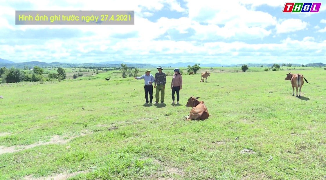 Kông Chro quan tâm hỗ trợ phát triển kinh tế vùng đồng bào dân tộc thiểu số