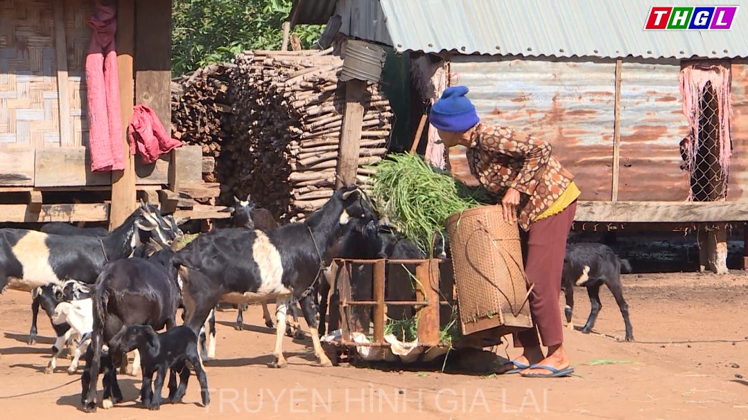 Chuyện thay đổi nếp nghĩ, cách làm