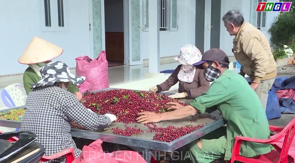 Toàn tỉnh hiện có 322 hợp tác xã đang hoạt động