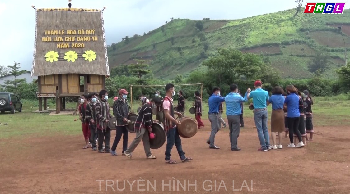 Toàn tỉnh Gia Lai có 82 làng thanh niên đạt tiêu chí “2 không, 2 có”