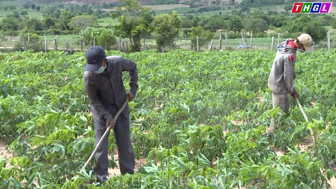 Những triệu phú đồng bào dân tộc thiểu số ở Đất Bằng