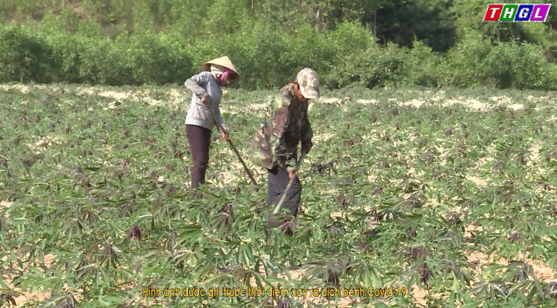 Thị xã An Khê – gần 100 hộ đồng bào DTTS thoát nghèo qua thực hiện Cuộc vận động “Làm thay đổi nếp nghĩ cách làm trong đồng bào dân tộc thiểu số để từng bước vươn lên thoát nghèo bền vững”