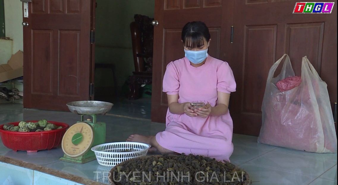 Ảm đạm thị trường trái cây Gia Lai