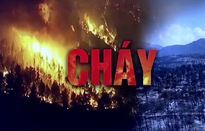 Châu Âu ghi nhận hàng chục ngàn vụ cháy rừng thảm khốc