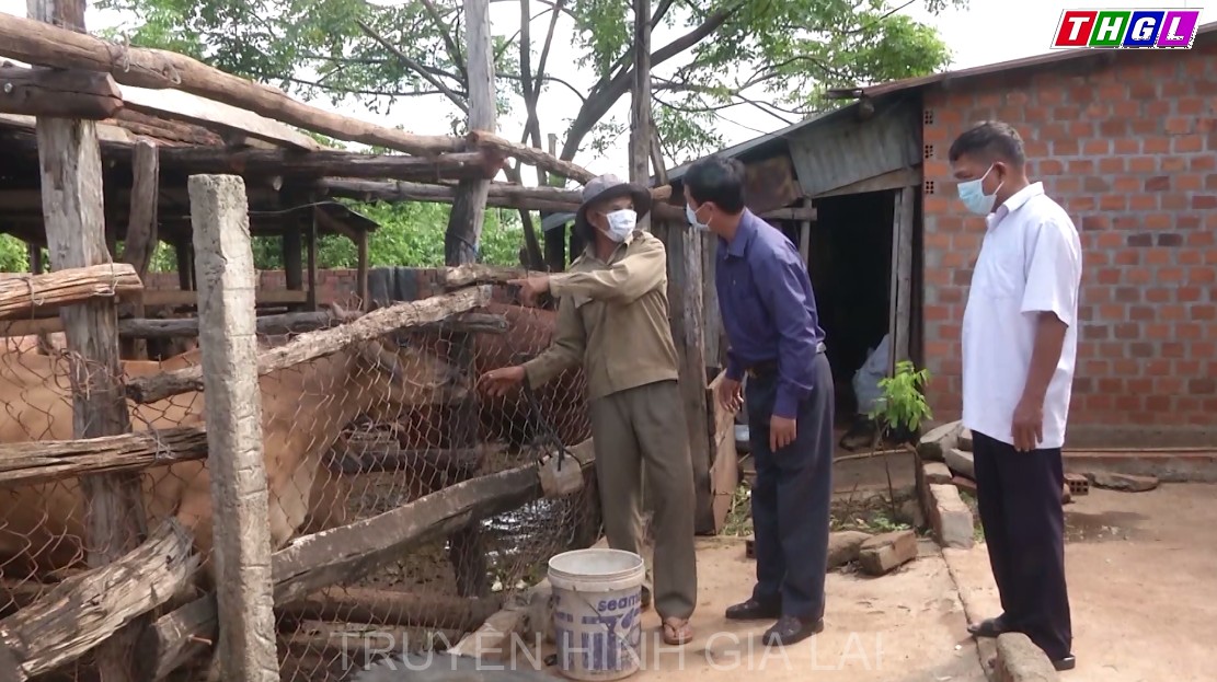 Gia Lai chung tay giúp đỡ nạn nhân da cam/dioxin