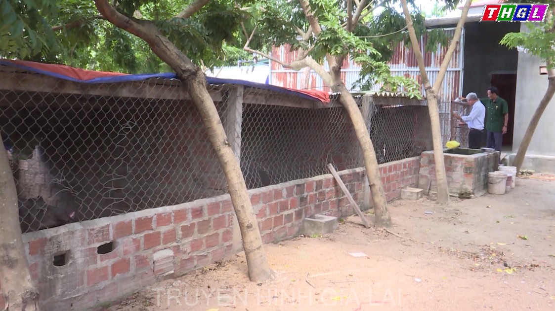 Phú Thiện – Hiệu quả phong trào “Cựu chiến binh giúp nhau giảm nghèo, làm kinh tế giỏi”