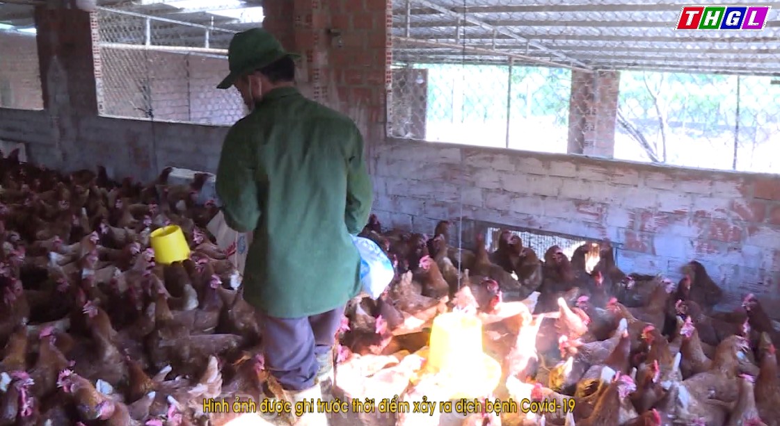 Triển khai hiệu quả phong trào “Cựu chiến binh giúp nhau giảm nghèo, làm kinh tế giỏi”