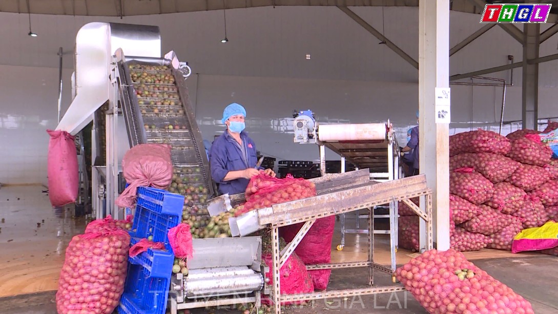 Khắc phục khó khăn, tận dụng các cơ hội đẩy mạnh xuất khẩu