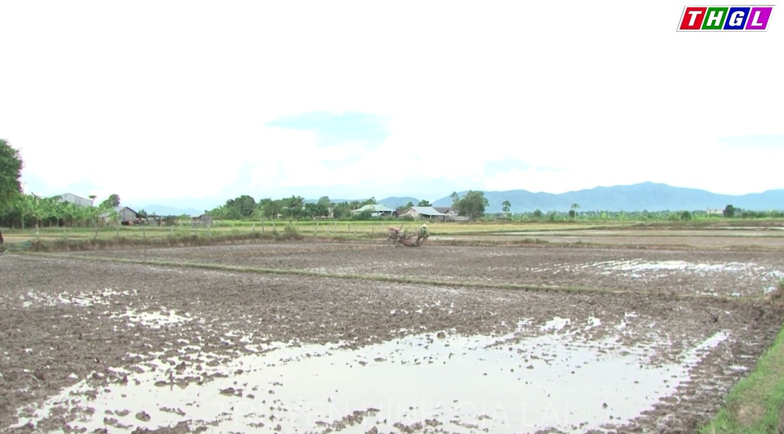 Hỗ trợ đất sản xuất cho ĐBDTTS trên địa bàn tỉnh Gia Lai theo Quyết định 2085 của Thủ tướng Chính phủ vẫn chưa được thực hiện do nguồn vốn Trung ương chưa cấp về