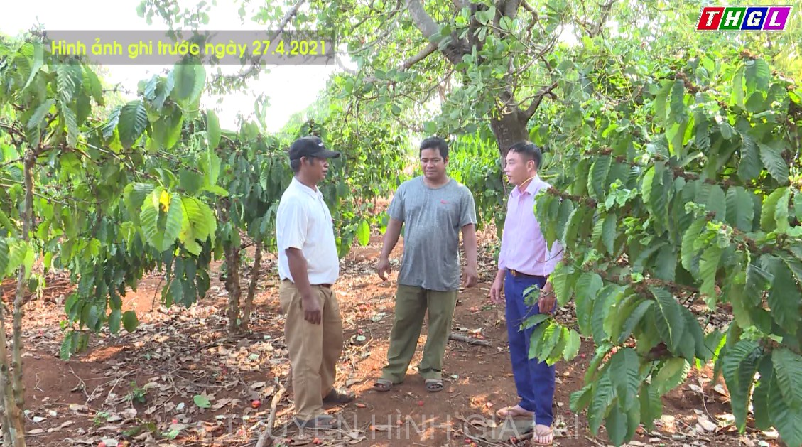 Đức cơ tập trung đẩy nhanh tiến độ xây dựng nông thôn mới